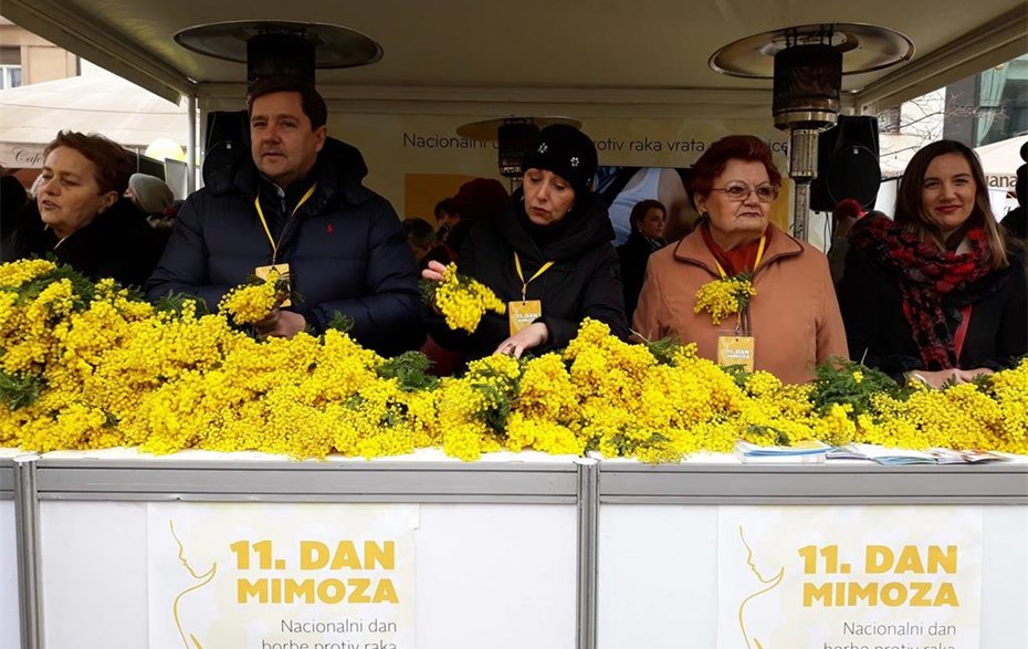 OBILJEŽEN 11. DAN MIMOZA
